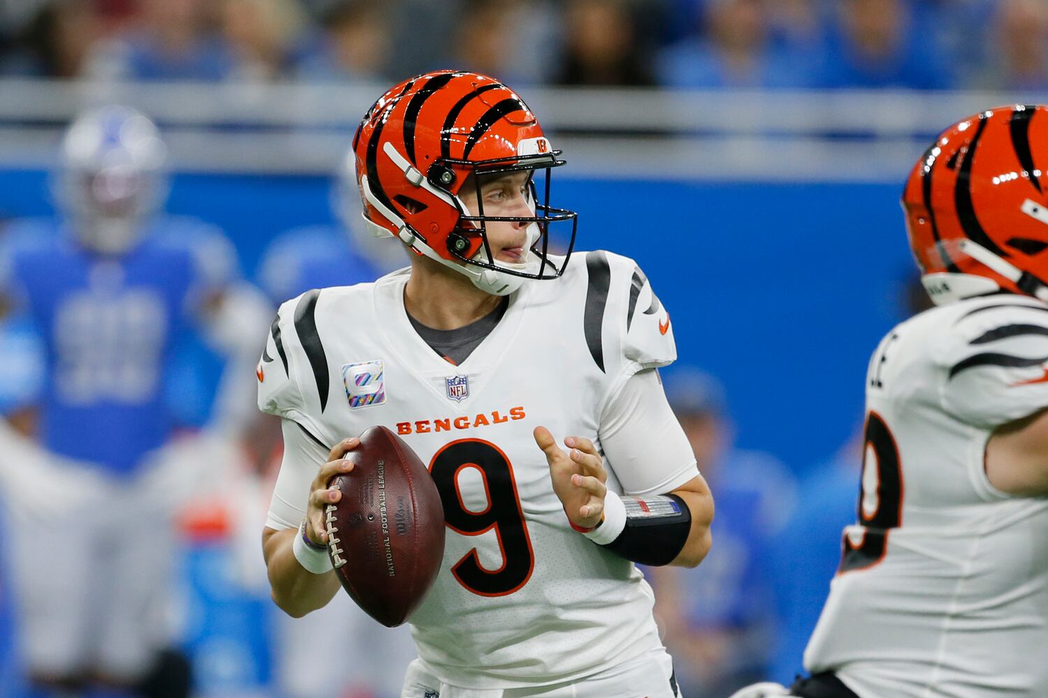 Bengals Lions Football