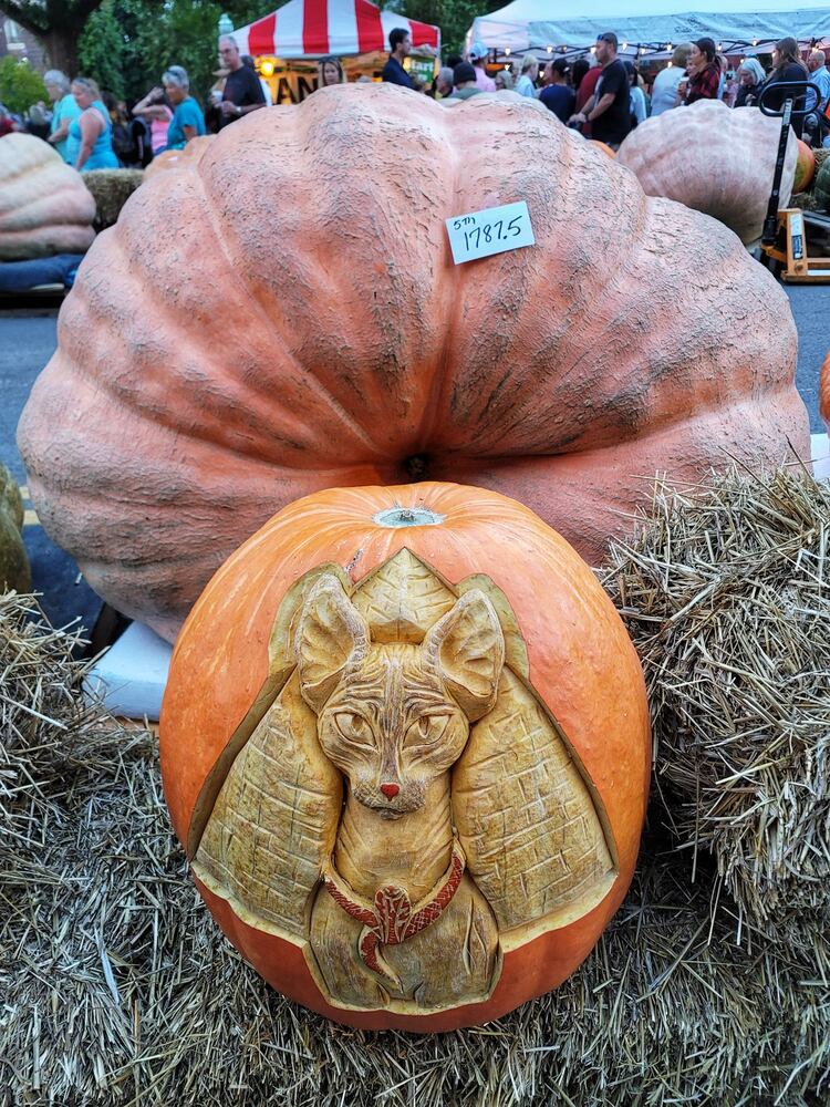 100921 Operation Pumpkin Hamilton