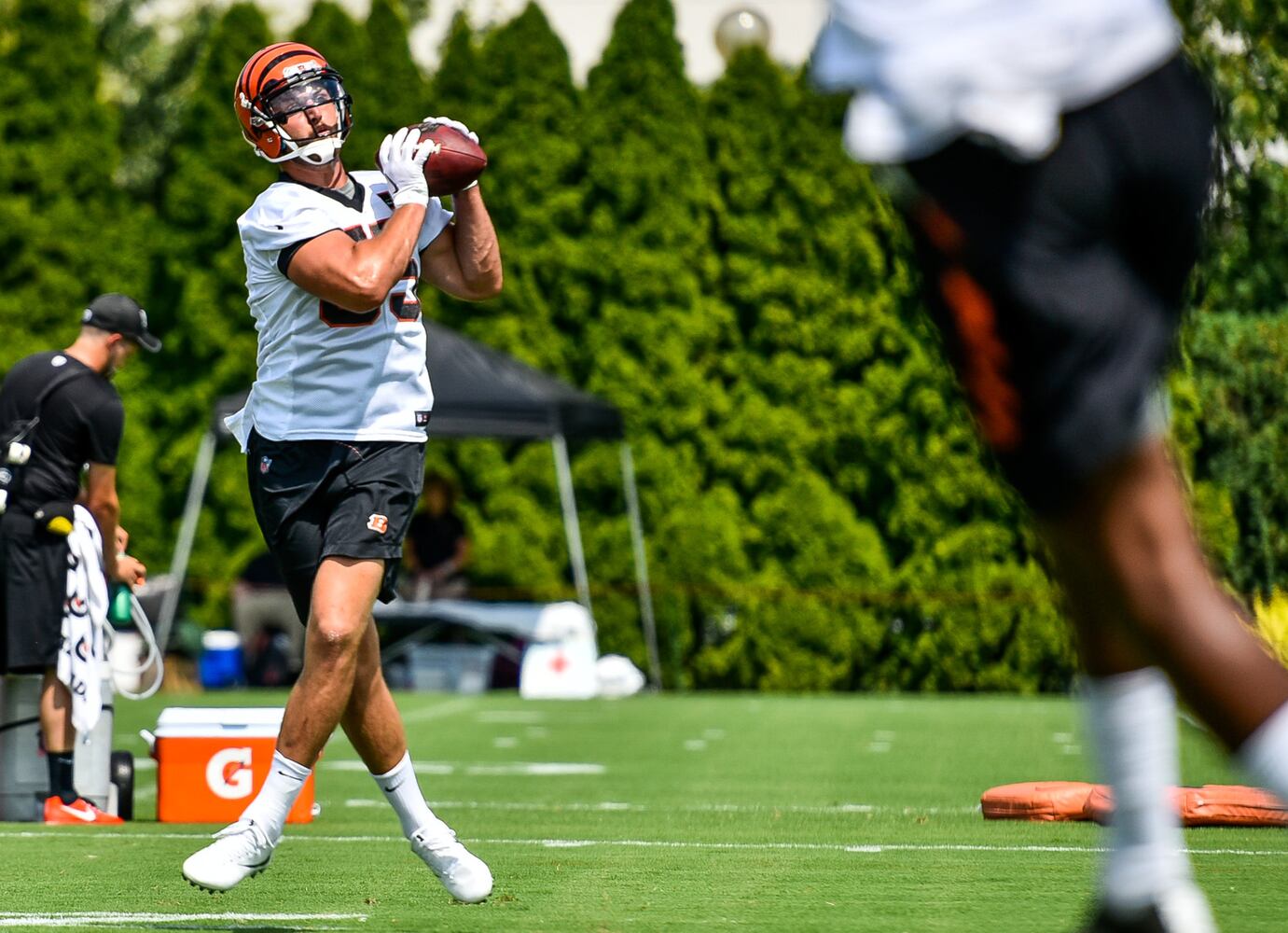 Bengals Training Camp Day 1
