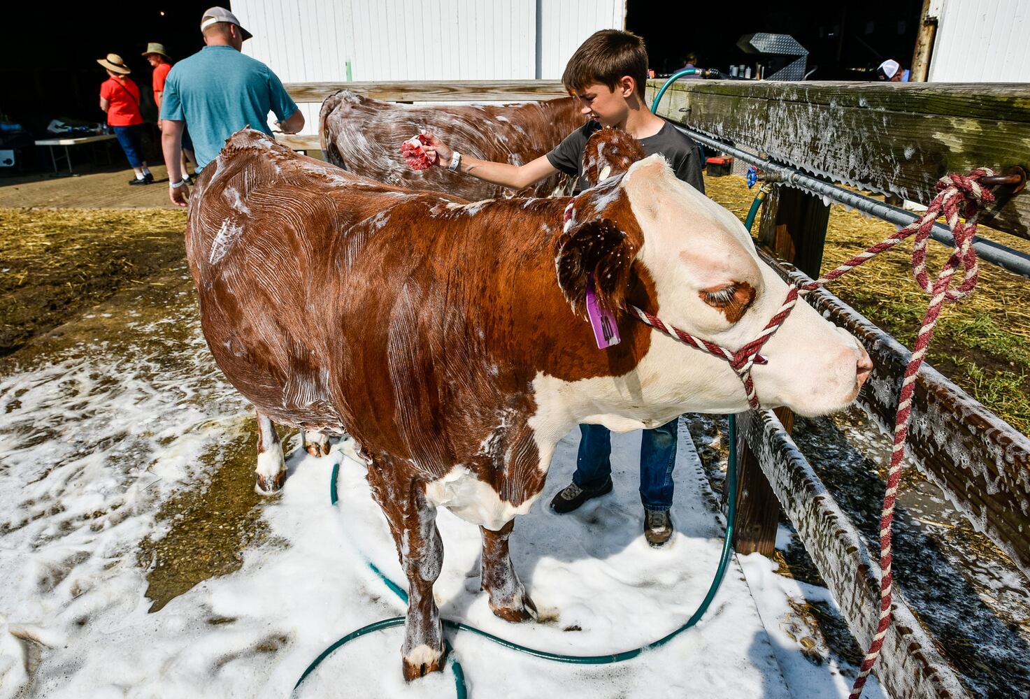Broken Horn Rodeo closes out the night Wednesday at the Butler County Fair