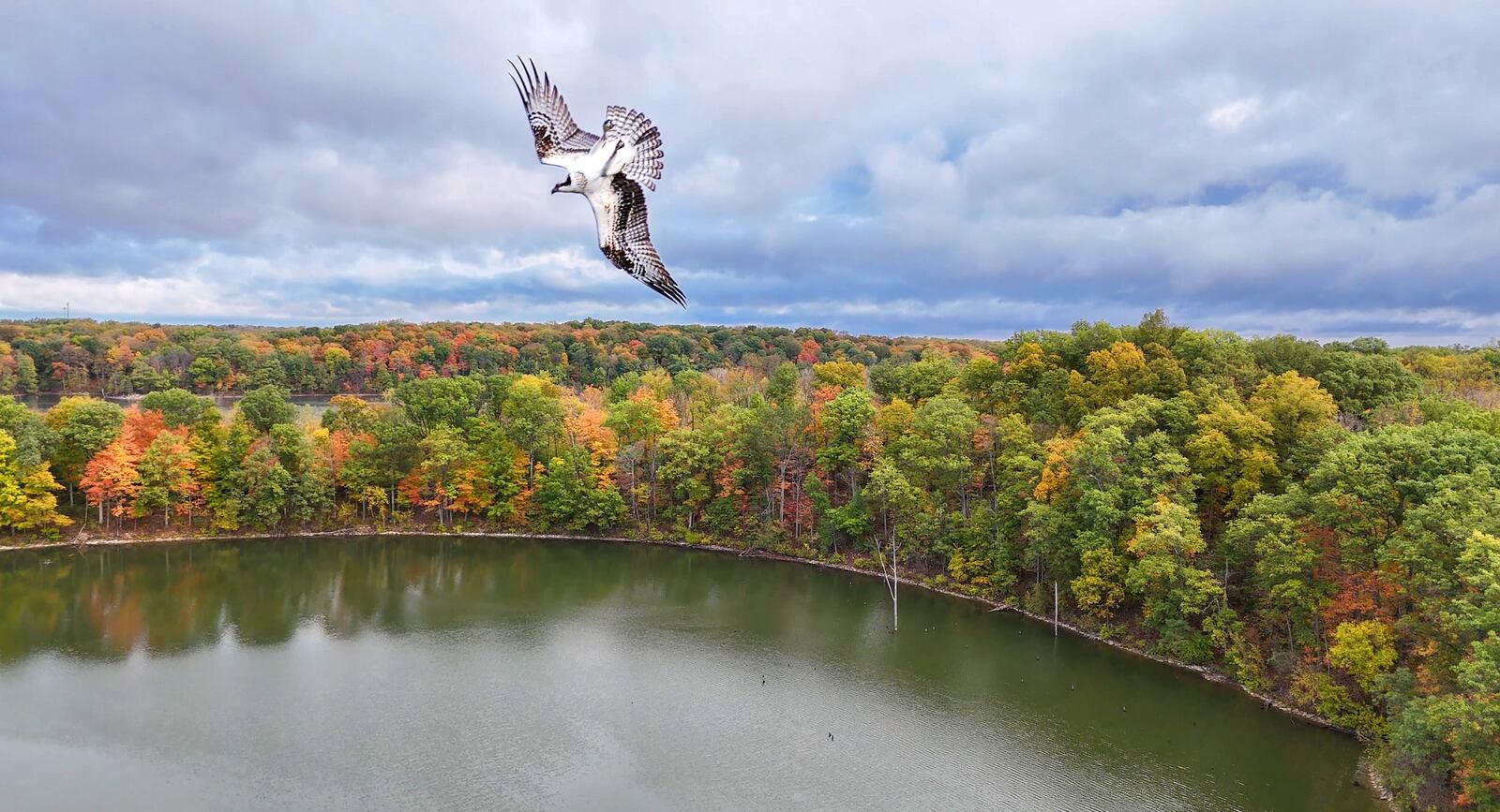 Fall color at Caesar Creek State Park and across the state may again be more sporadic due to dry late summer conditions. CONTRIBUTED ODNR
