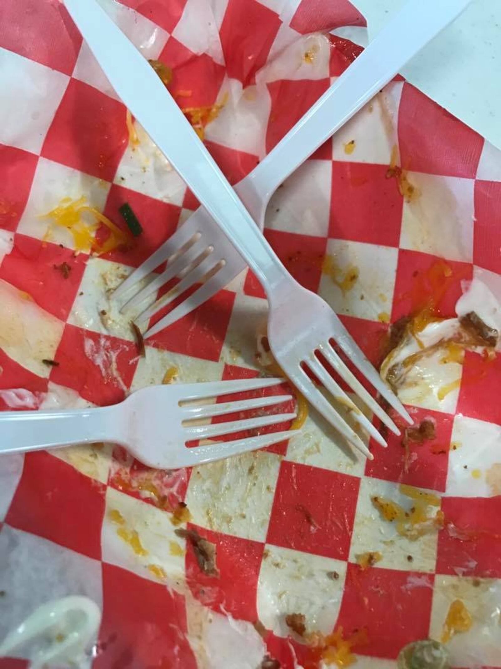See! The tater tots from the Crazy Redhead Canteen will vanish just like that! CONTRIBUTED