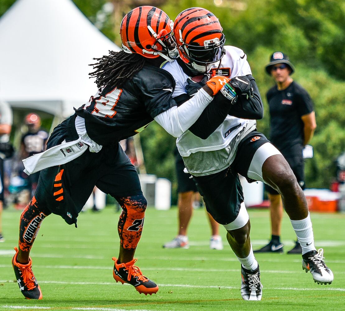 Bengals Training Camp Day 1