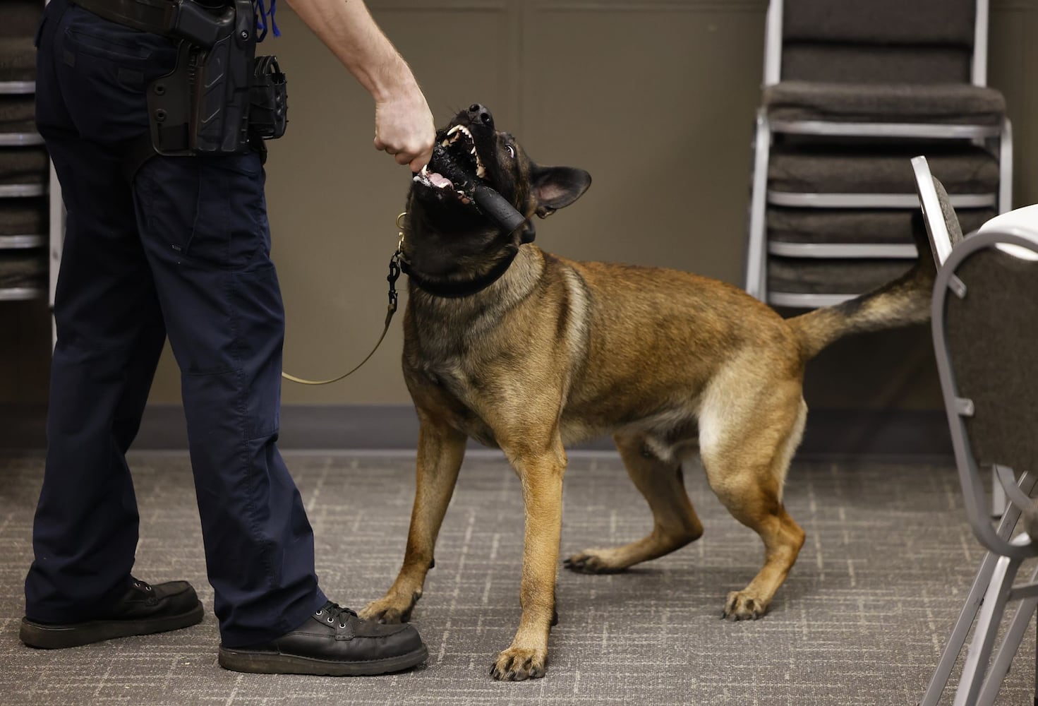 051622 police dogs