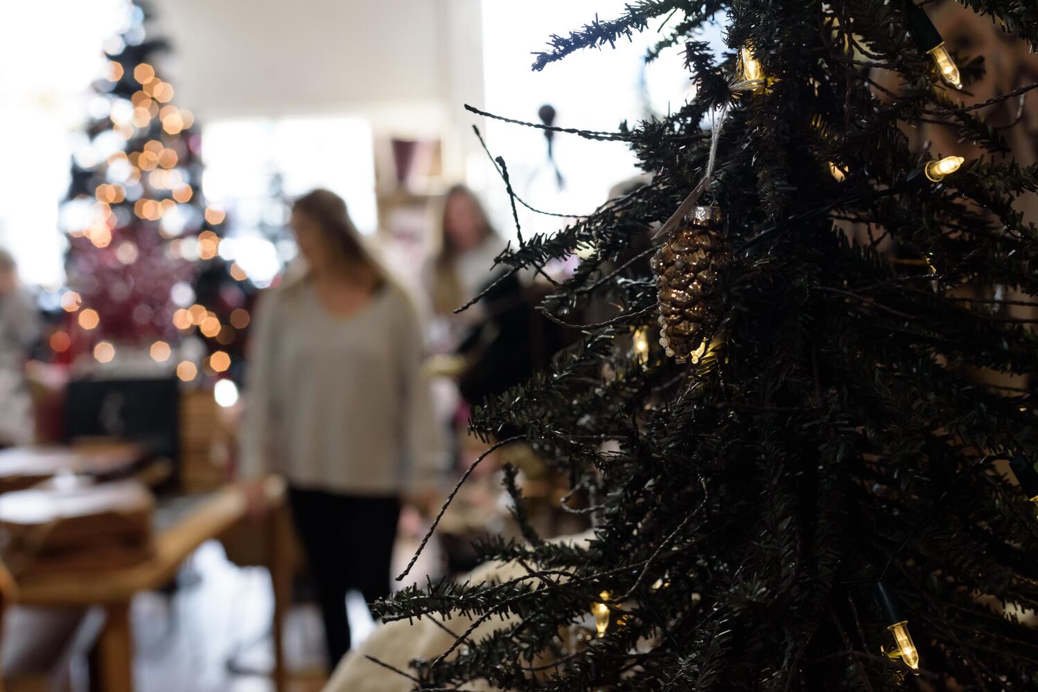 PHOTOS: Did we spot you at Hearthwarming Holidays in downtown Waynesville?