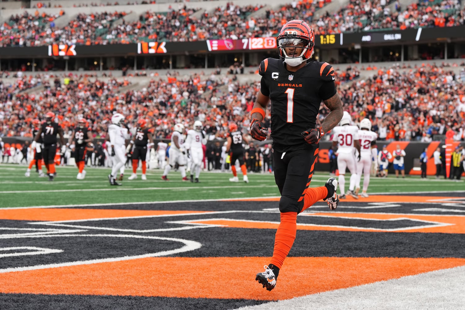 Cardinals Bengals Football