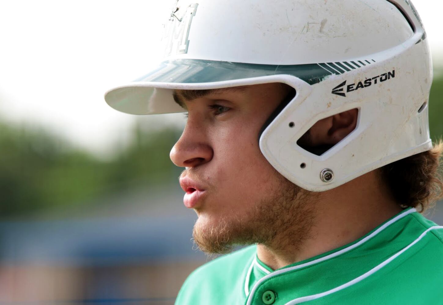 PHOTOS: Cincinnati Christian Vs. New Miami Division IV District High School Baseball
