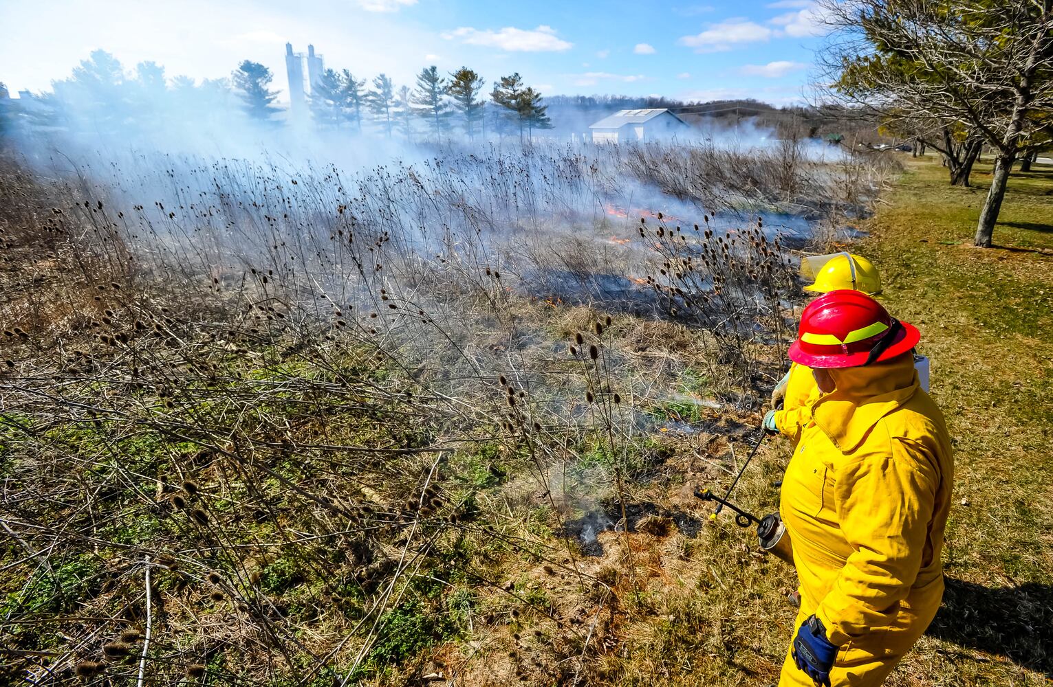 Controlled burns at Riverside Natural Area in Hamilton