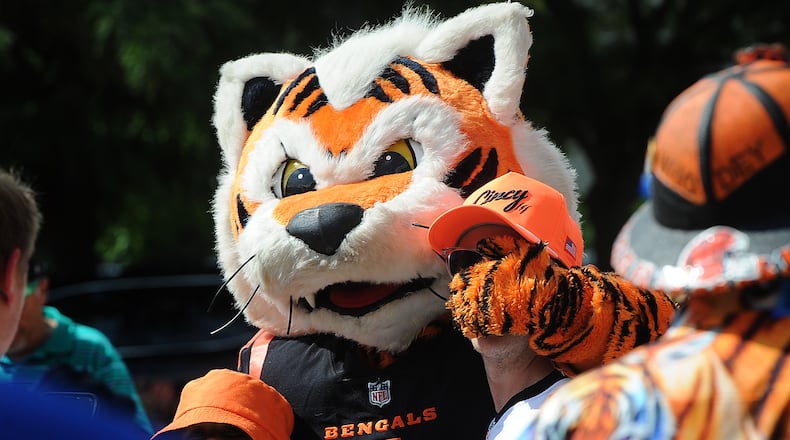 Who Dey, the Bengals mascot mingles with fans outside Day Air Ballpark Wednesday, June 14, 2023, in Dayton before the start of the Logan Wilson Celebrity Softball Game presented by Kettering Health. MARSHALL GORBY\STAFF