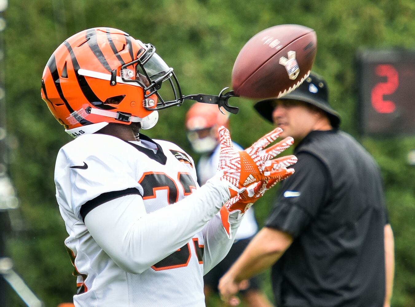 Cincinnati Bengals OTA