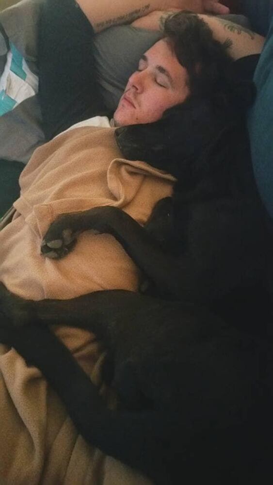 PHOTOS Readers respond to National Black Dog day post with pictures of their pets.