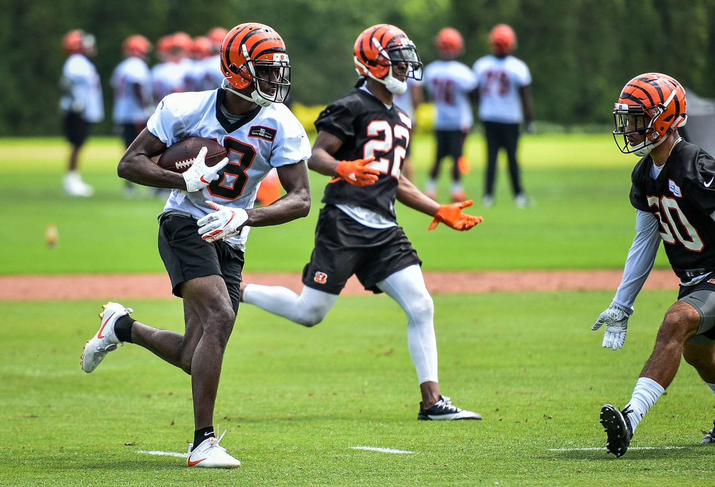 Cincinnati Bengals OTA