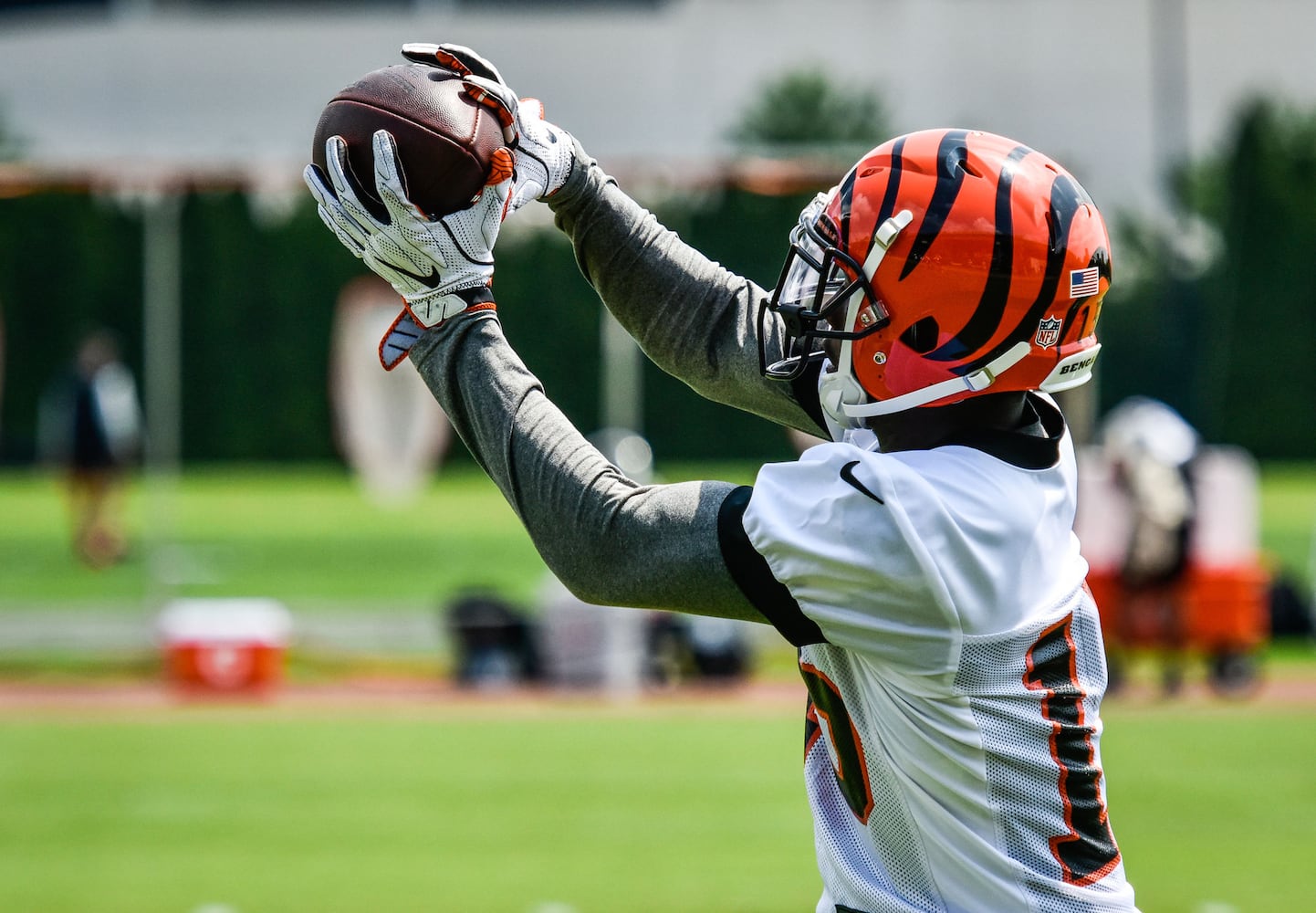 Cincinnati Bengals OTA