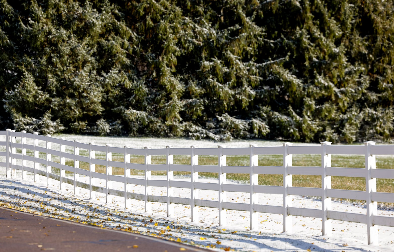 111025 snow cox carm