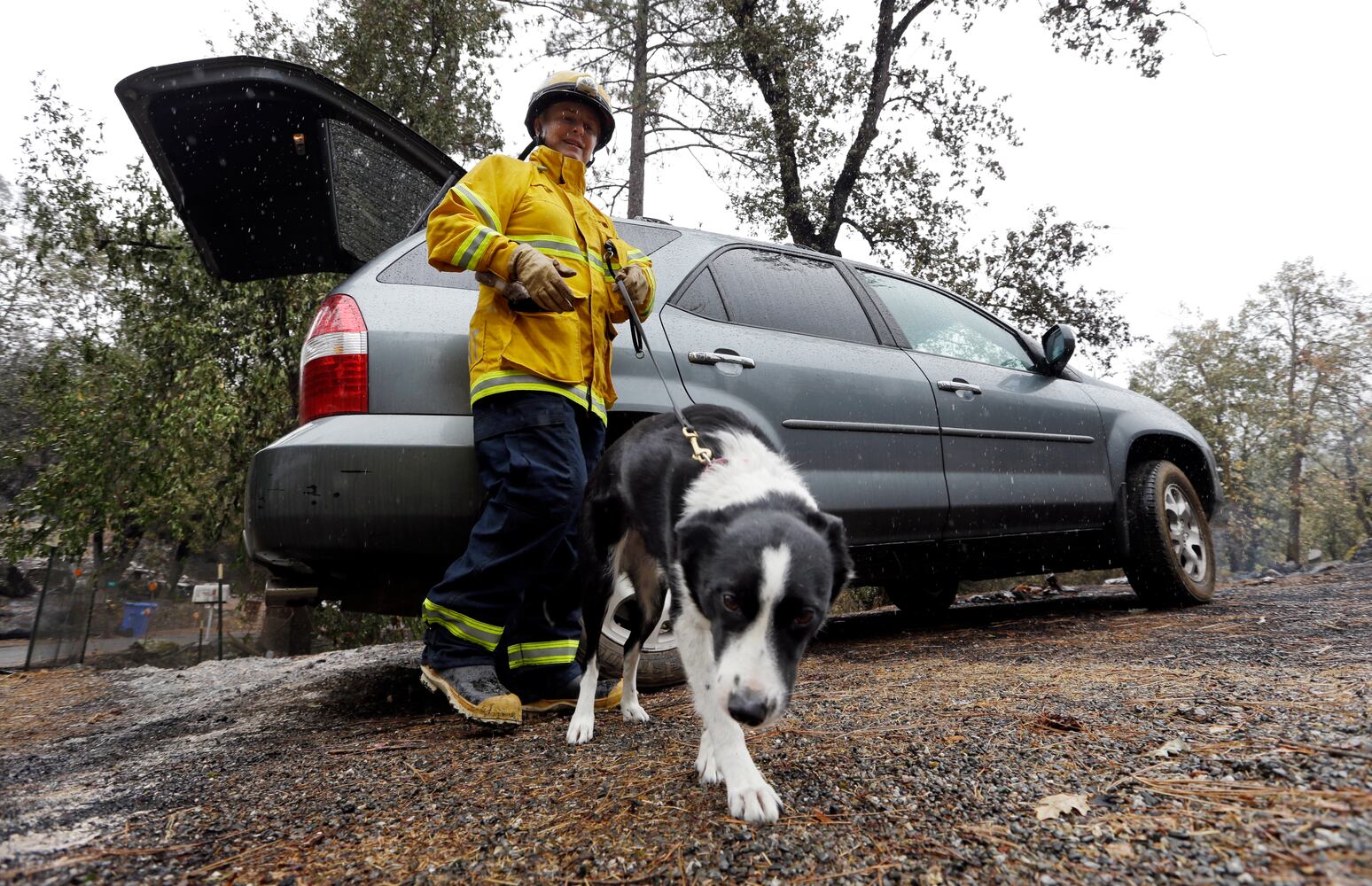 News hounds (9/17/15)