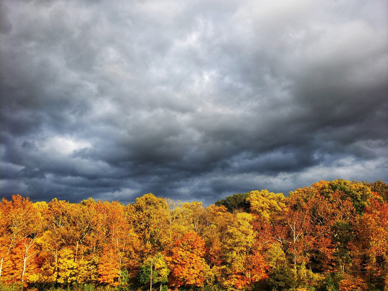 Fall colors October 2020