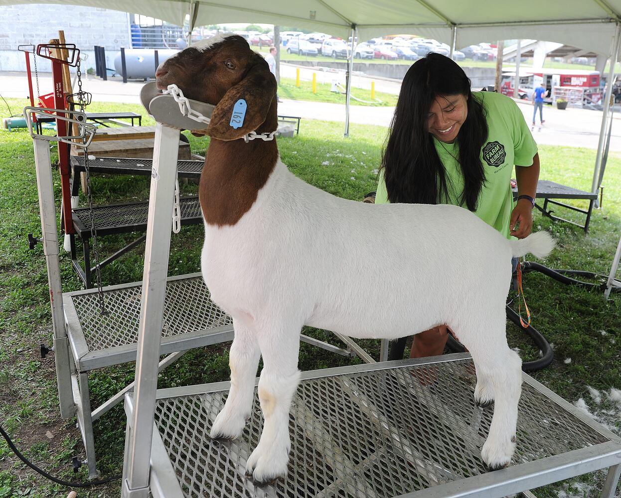 WARREN COUNTY FAIR