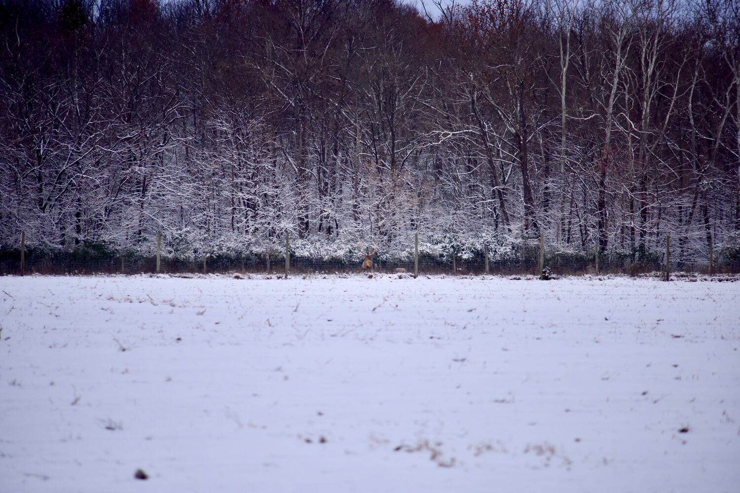 PHOTOS Butler County's first snowfall of the season