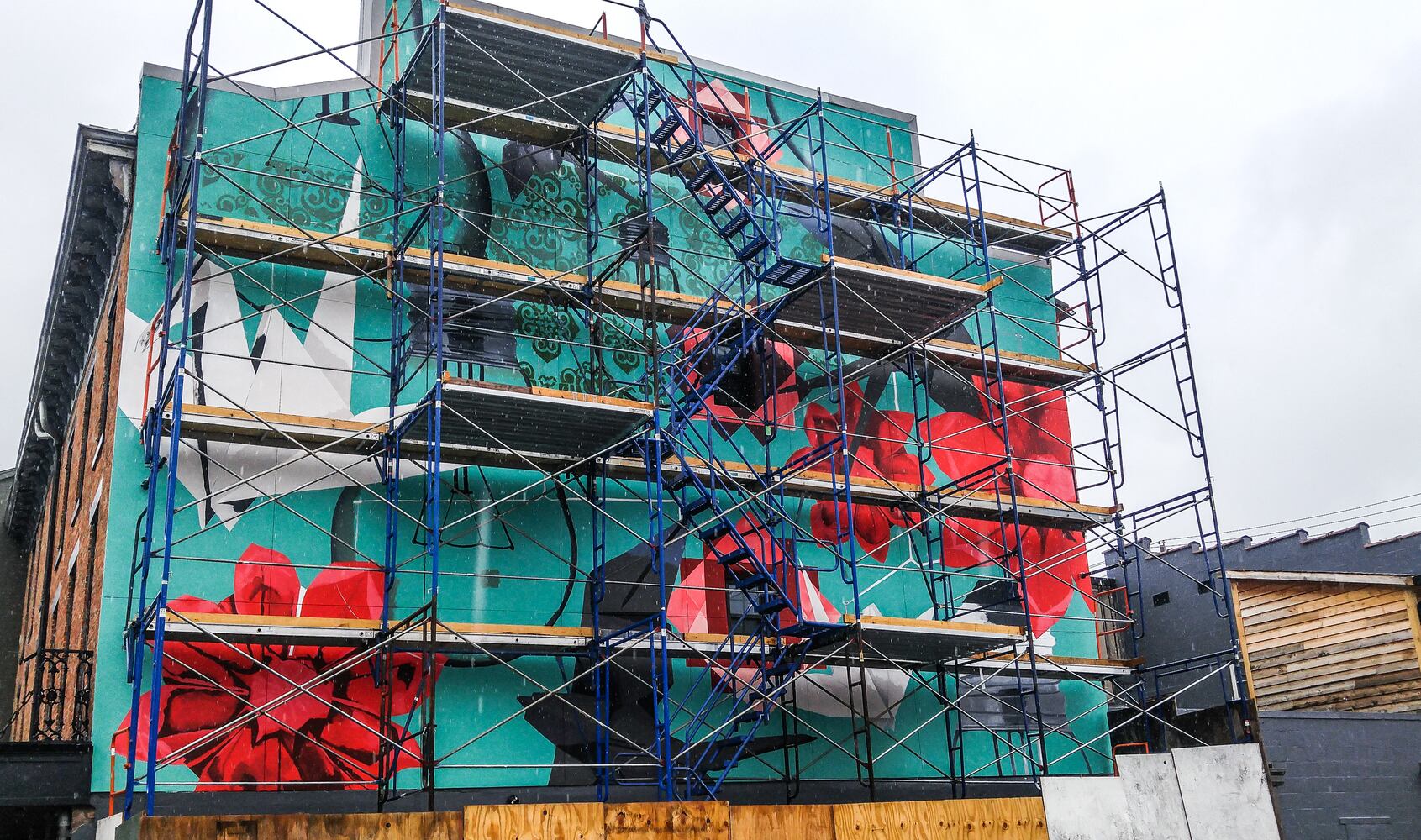 Murals add a splash of color to Hamilton buildings