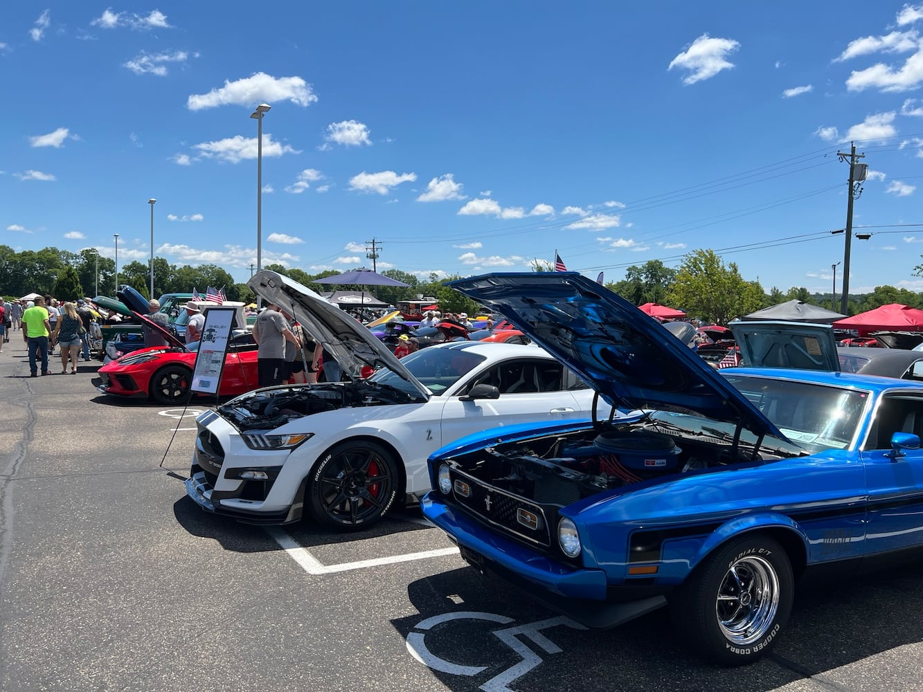 Cruise in