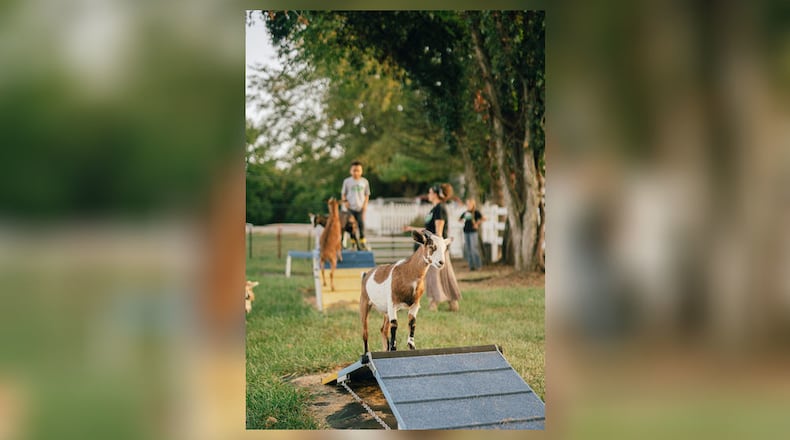 H.O.P.E.-Full Pastures will host a fundraiser banquet, “Be Full of H.O.P.E.” at The Benison Events & Coworking at 100 S. 3rd St. in Hamilton on Friday. Individual tickets start at $50. EMMA MCMAHAN PHOTOGRAPHY/ CONTRIBUTED