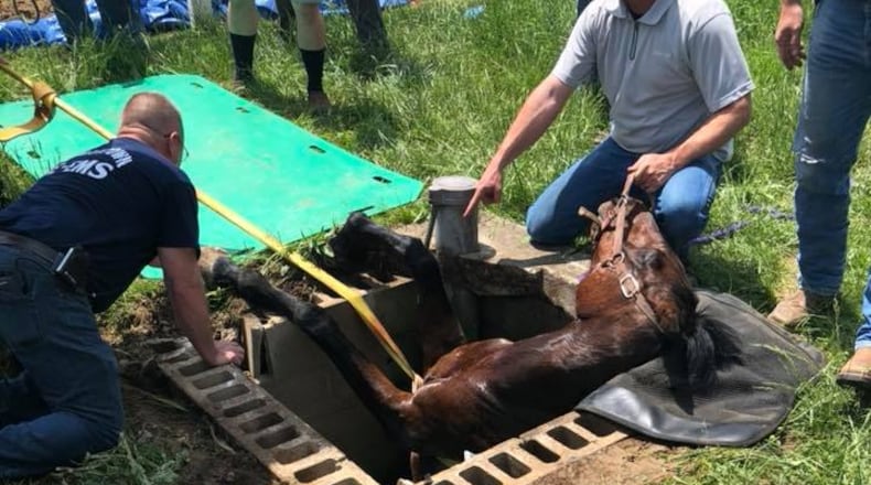 A horse trapped in a well in Germantown was rescued Sunday afternoon by Reily Twp. and Germantown fire departments. (CONTRIBUTED/REILY TOWNSHIP FIRE AND EMS)
