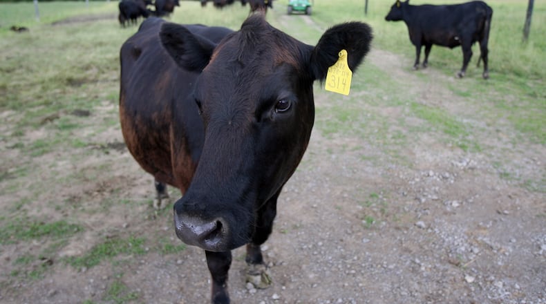 Butler County Farm Day will take place from 10 a.m. to 2 p.m. May 6 at Pedro’s Angus Farm, 2151 Harris Road, in Milford Twp. Bill Roe and his wife, Bev, are the owners of the Butler County farm. STAFF FILE PHOTO