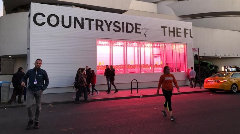 Hamilton-nased 80 Acres Farms will grow tomatoes on one of the busiest streets in New York outside the Solomon R. Guggenheim Museum. The grow is part of “Countryside, The Future,” the Guggenheim’s new exhibition in collaboration with Rem Koolhaas, which opens to the public Feb. 20, and runs through Aug. 14. CONTRIBUTED