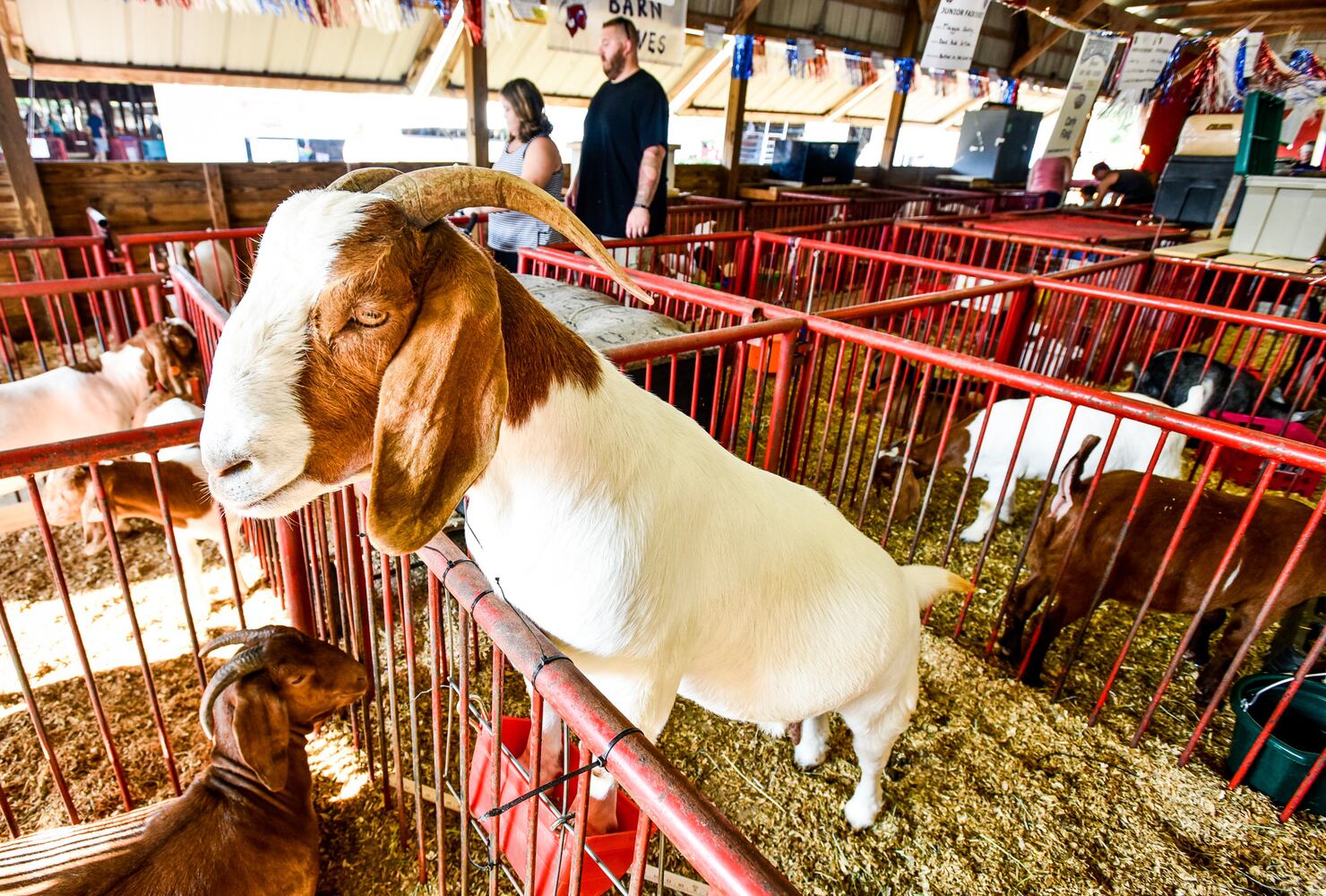 Broken Horn Rodeo closes out the night Wednesday at the Butler County Fair
