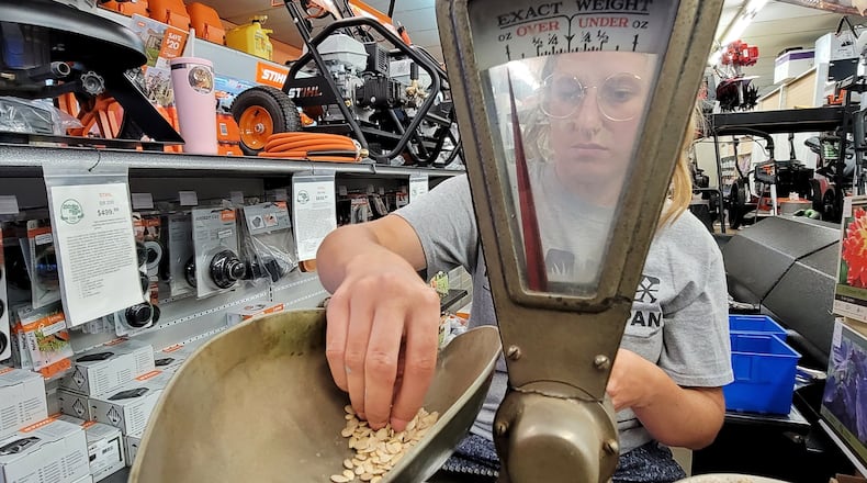 Sophie Grollmus weighs seeds Friday, June 18, 2021 on a 99-year-old scale used by her great grandfather Al Huesman, who started Al Joe's Pet and Garden Center.
Al-Joe's Pet and Garden Centers are celebrating 100 years in business this year. They now have locations in Hamilton and West Chester Township. NICK GRAHAM / STAFF