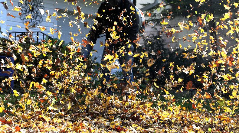 Doug Clowell, an employee of Smith & Sons Lawn and Landscaping, takes advantage of the sunny weather Nov. 5 to clean up some leaves in a Springfield customer's yard.  BILL LACKEY/STAFF
