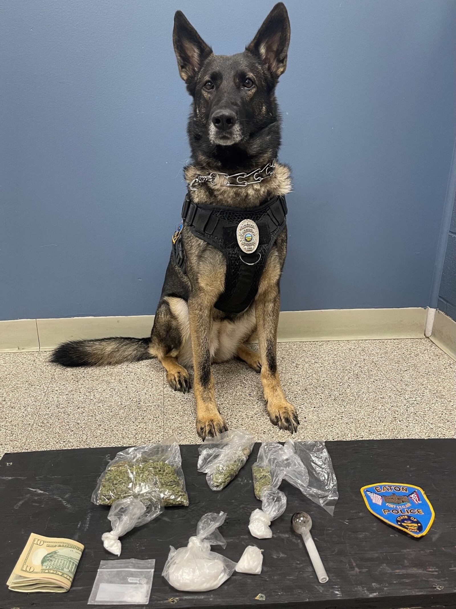 Rossi, an Eaton Police Division K9, sits behind drugs, paraphernalia and cash seized during a Nov. 21, 2021, traffic stop.