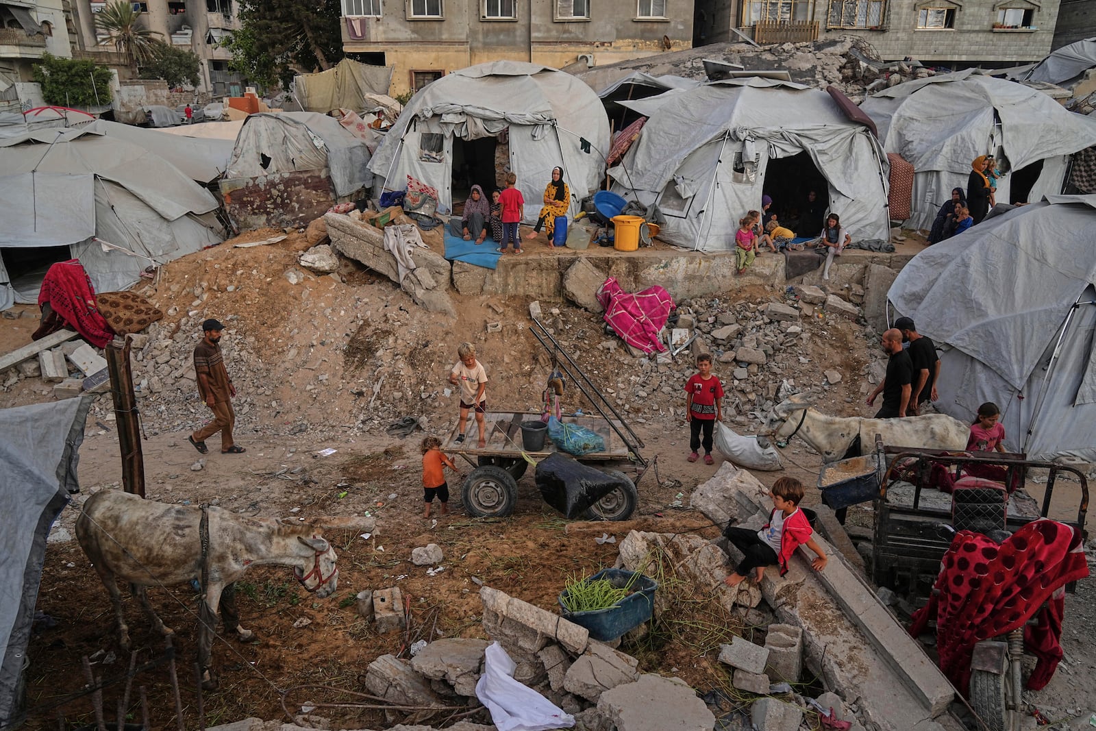Displaced Palestinians live in a tent camp in Gaza City, Monday, June 23, 2025. (AP Photo/Jehad Alshrafi)