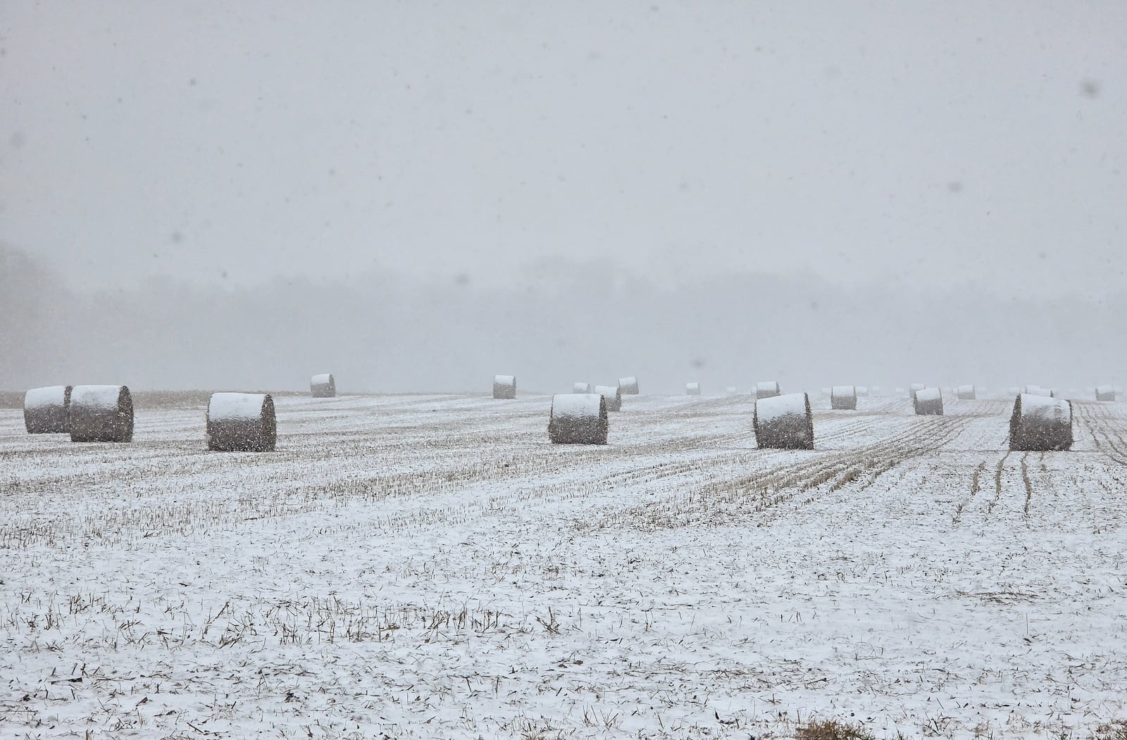 Several inches of snow fell around the Miami Valley on Dec. 13. NICK GRAHAM / STAFF