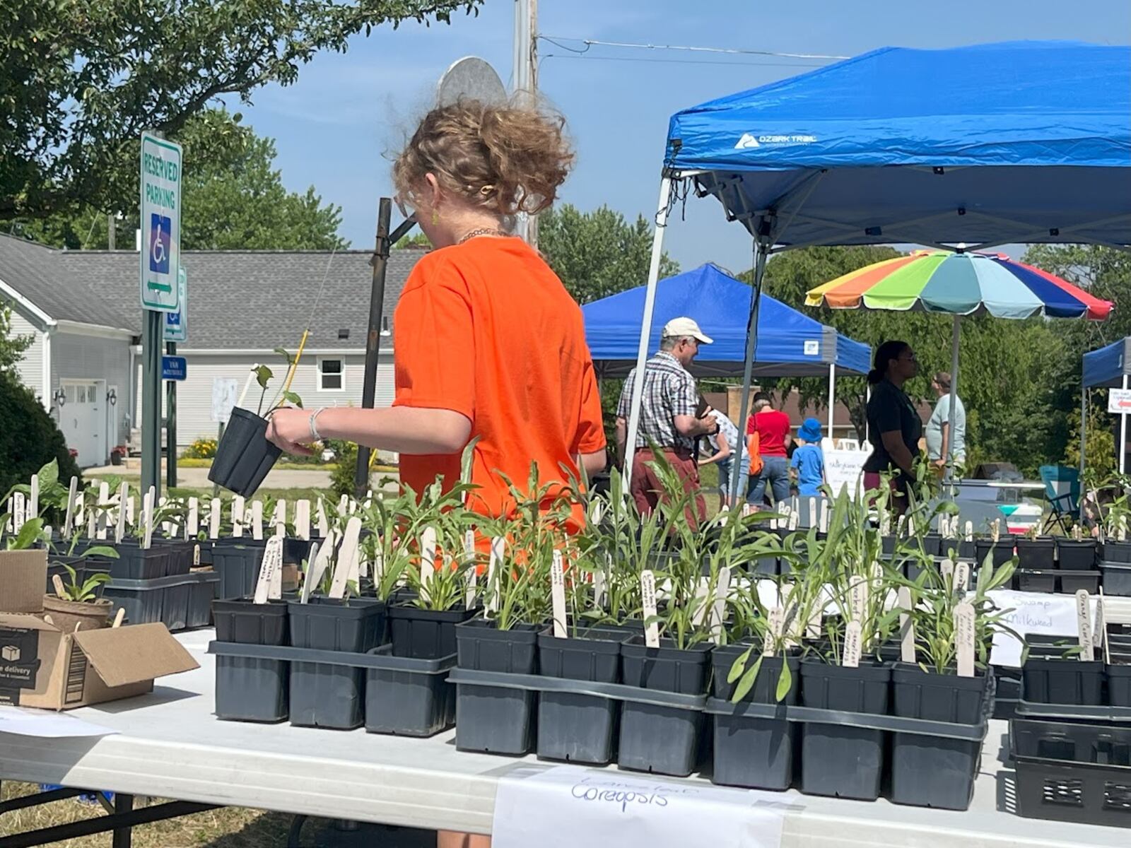 The Monarch Fest will be held from 10 a.m.-2 p.m. June 8 at Christ the King Lutheran Church, 7393 Dimmick Road, West Chester. Free admission, free plant giveaway. Plant sale and other items available for purchase. CONTRIBUTED
