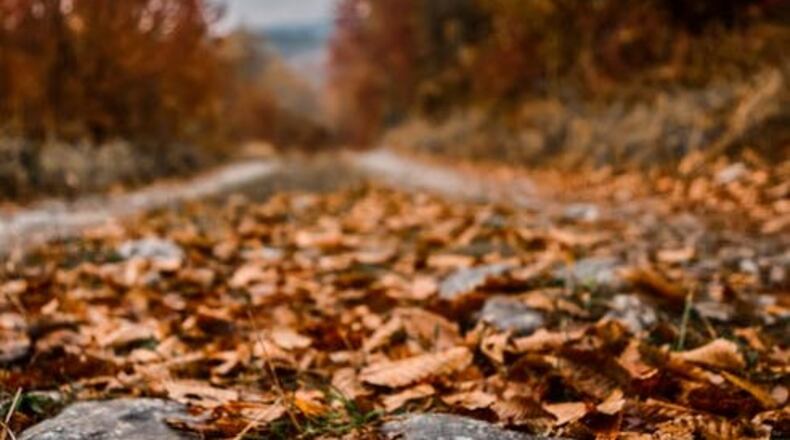 Quiet overnight, cloudy & cool Monday