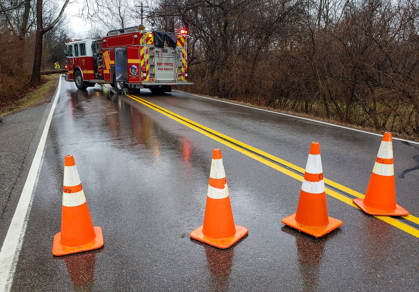 Driver injured when tree falls on bus