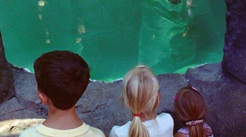 Area school families are using summer break to take their kids on local field trips with strong educational features. Recent years of school budget cuts and reduced time for traditional school field trips have prompted more school parents to make learning trips part of their kids’ summer vacation. CONTRIBUTED