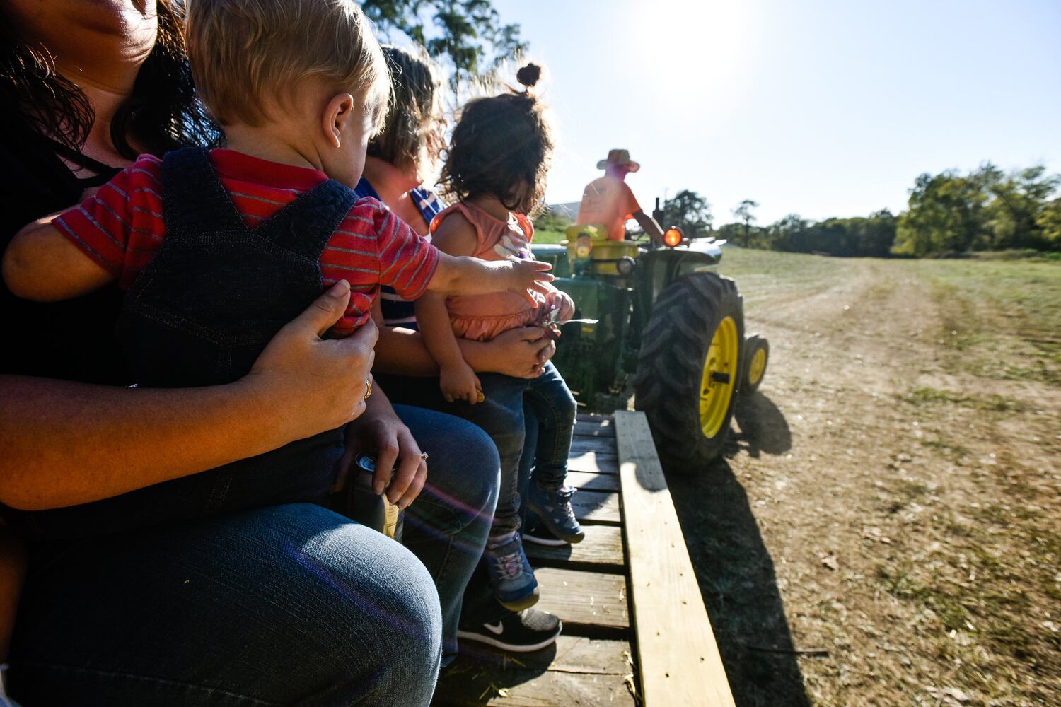 Jackson Family Farm offers visitors a chance to learn about farm life