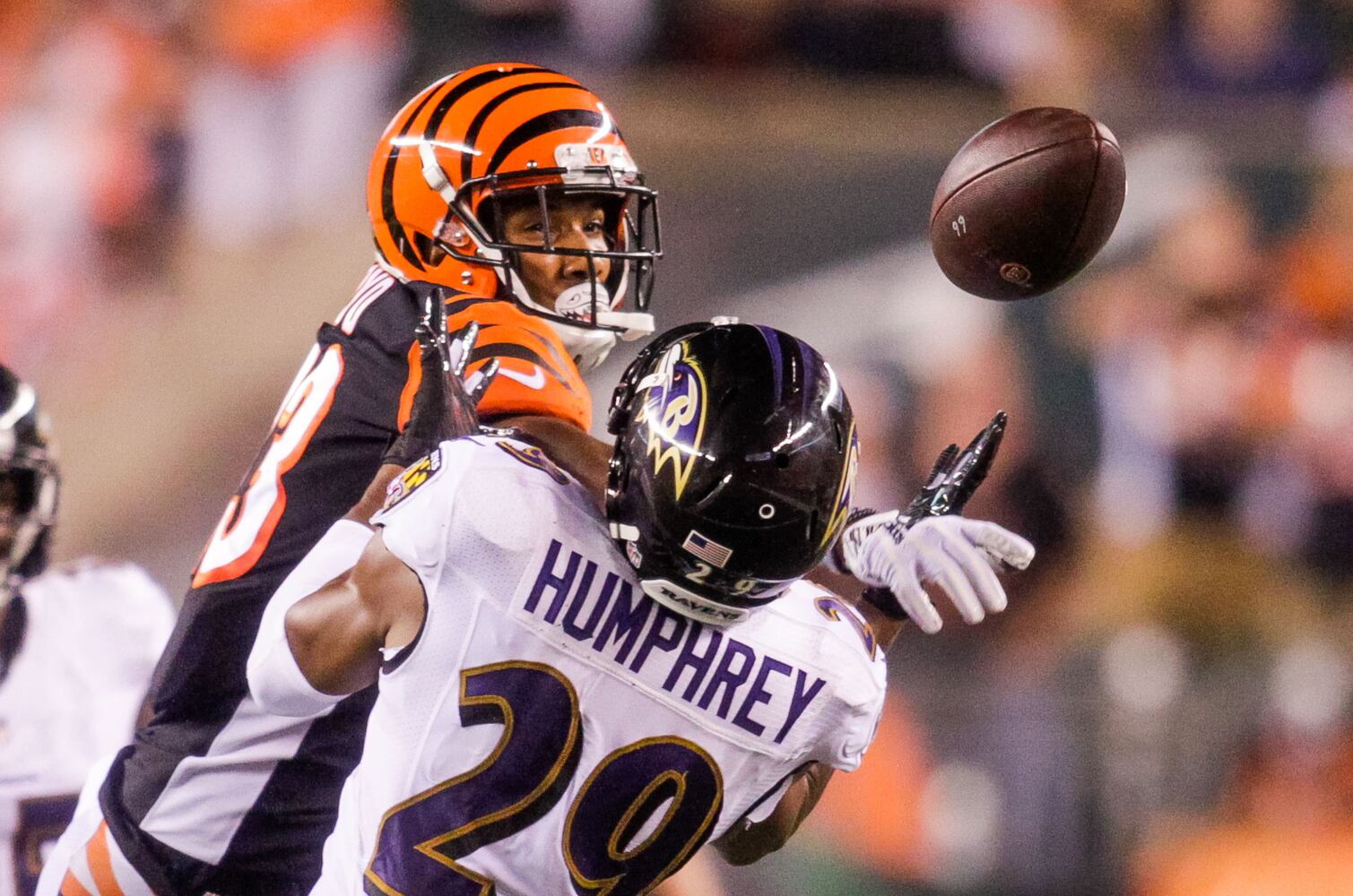 Bengals vs Ravens Football