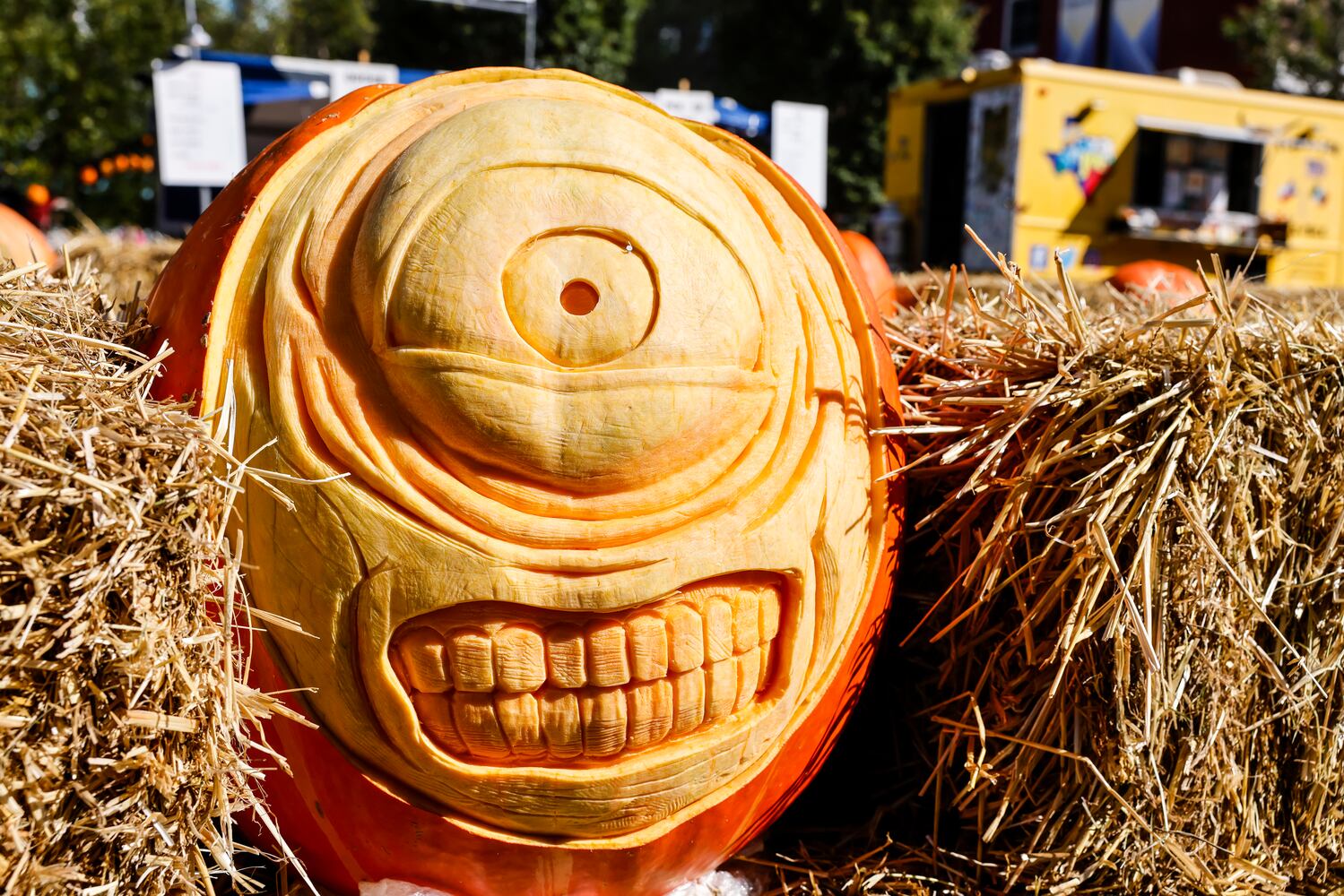 101124 Operation Pumpkin