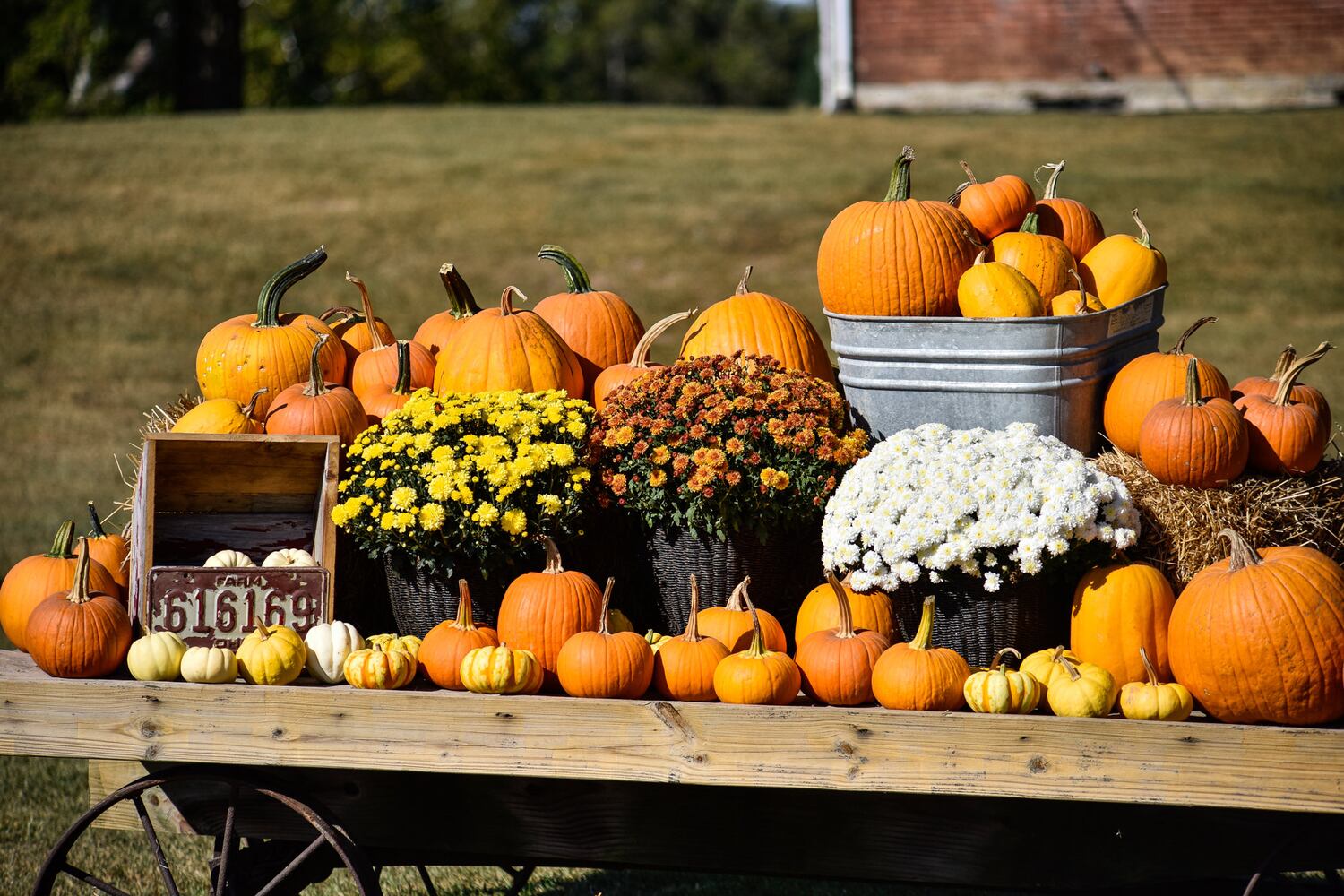 Jackson Family Farm offers visitors a chance to learn about farm life