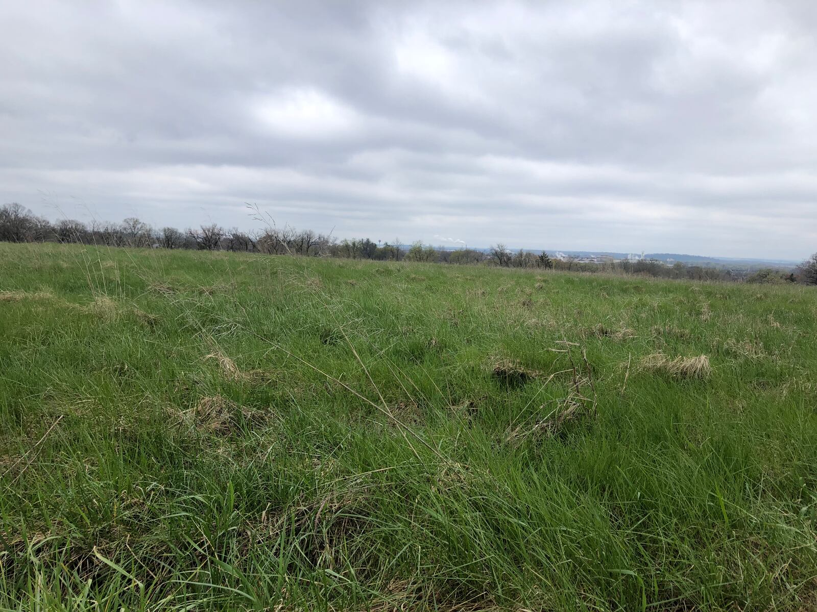Developer D.R. Horton wants to build 50 single-family homes on the 16.64 acres that are owned by Oaks Community Church. RICK McCRABB/STAFF