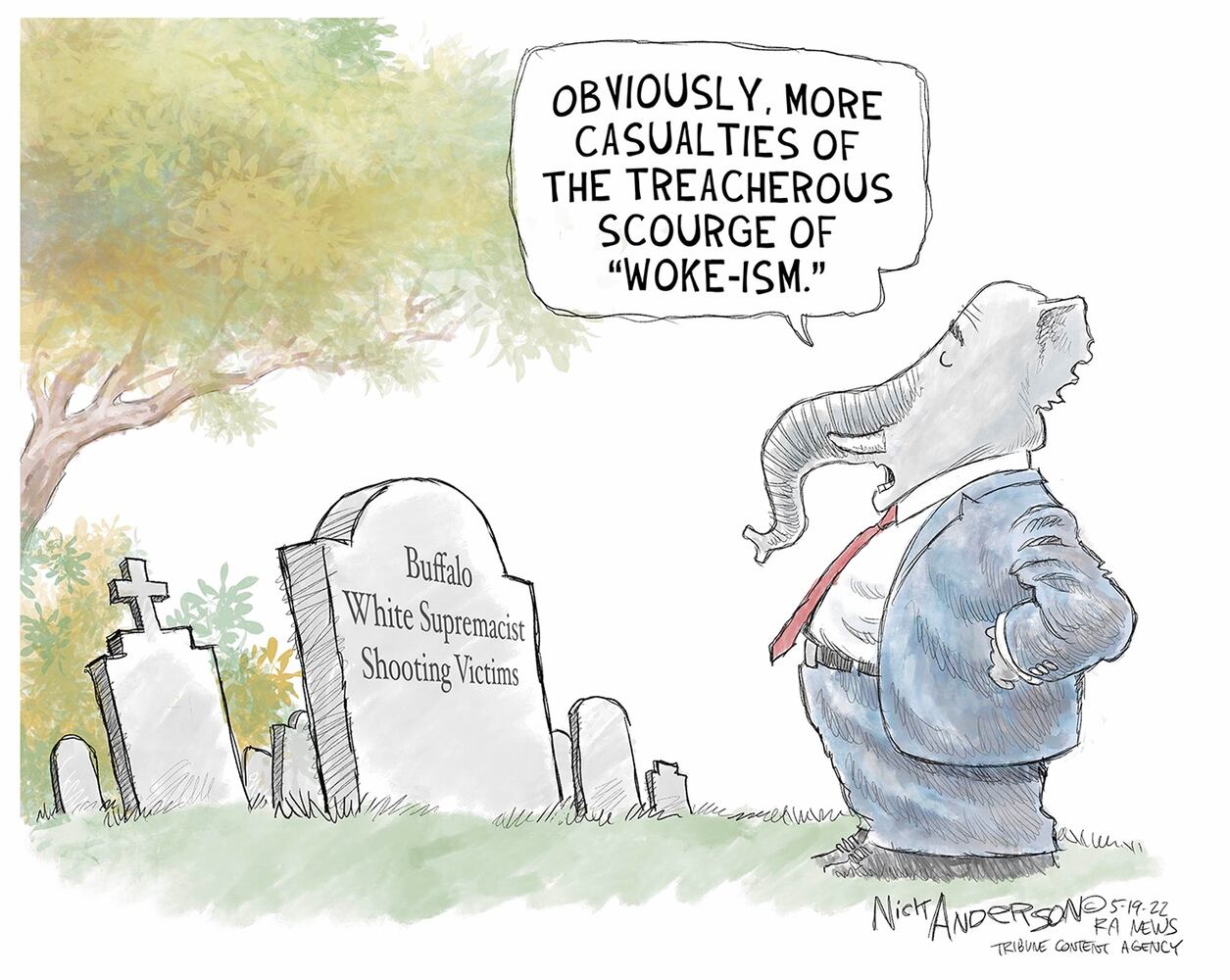 WEEK IN CARTOONS: Buffalo shooting, baby formula shortage and more