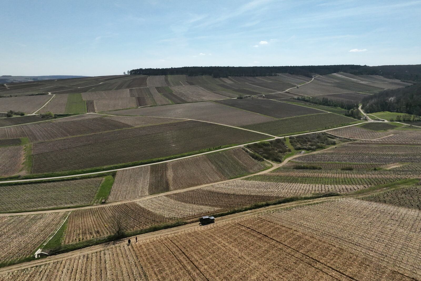 View of Chablis vineyards in Chablis, Burgundy region, eastern France, Thursday, April 3, 2025. (AP Photo/Thibault Camus)