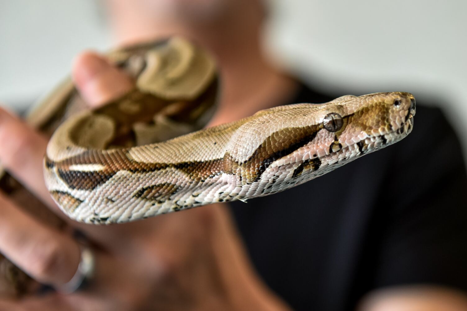 091620 reptile pit store
