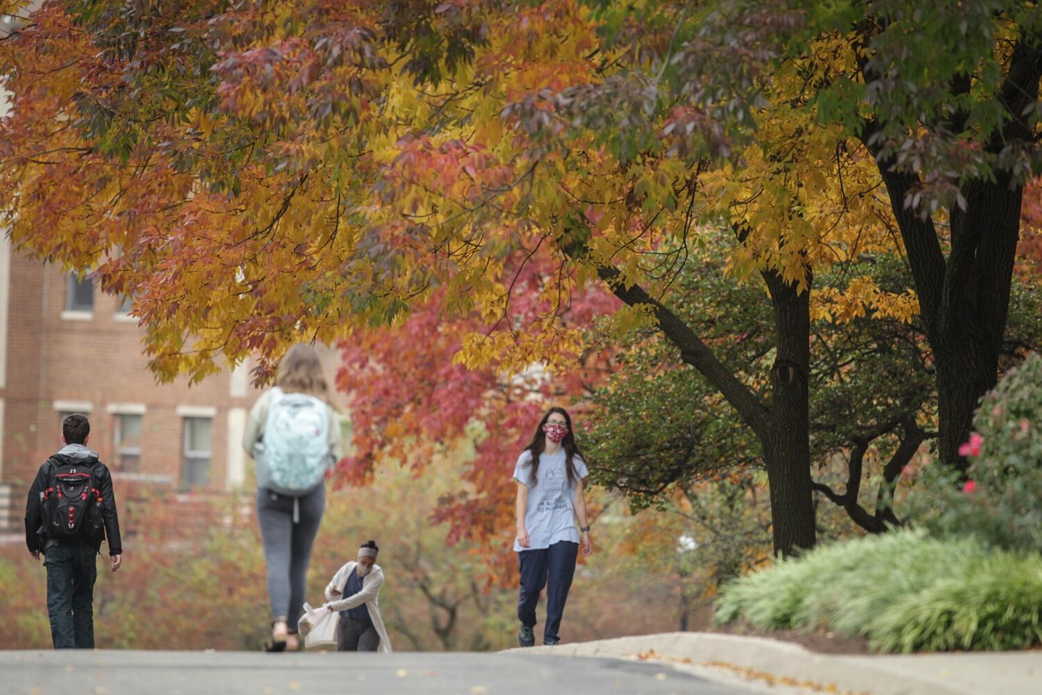 Fall colors paint the Dayton area