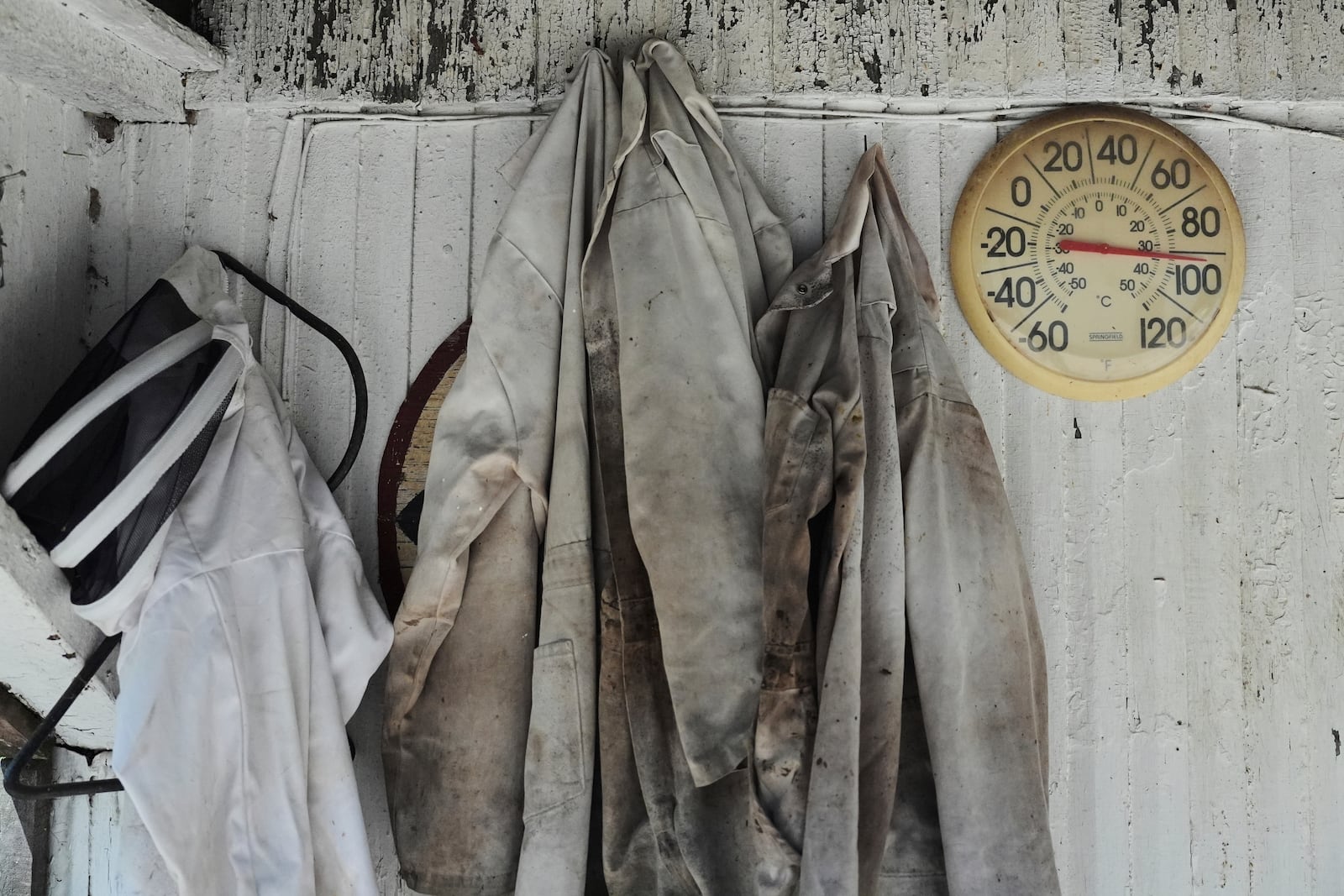 Beekeeping suits hang next to an outdoor thermometer Tuesday, June 24, 2025, at Honeyrun Farm in Williamsport, Ohio. (AP Photo/Joshua A. Bickel)