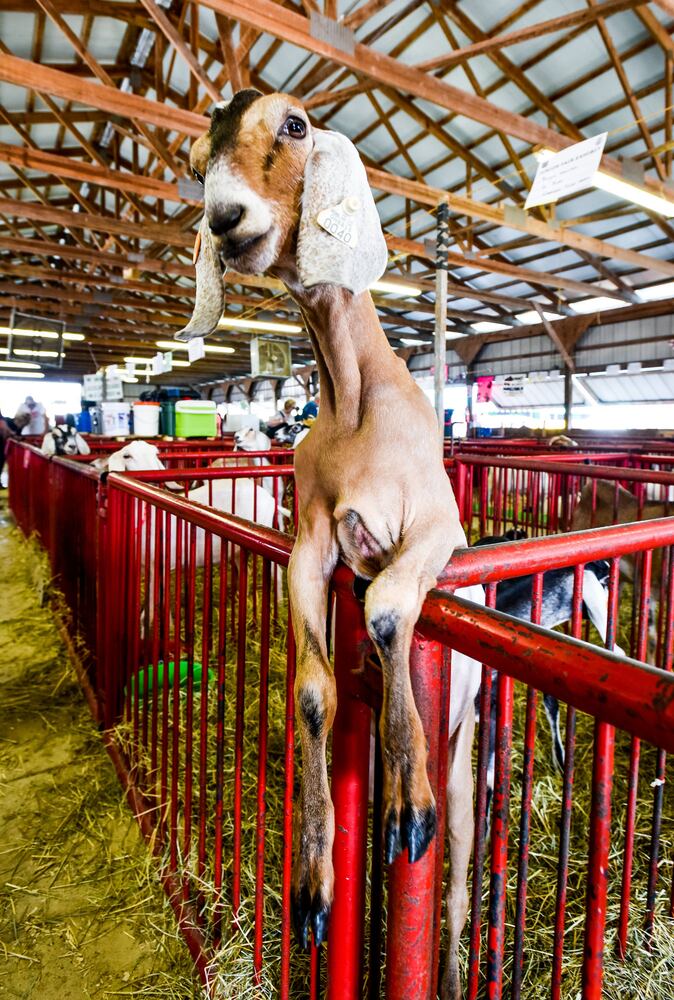 Broken Horn Rodeo closes out the night Wednesday at the Butler County Fair