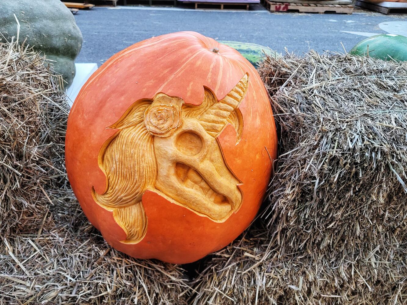 100921 Operation Pumpkin Hamilton